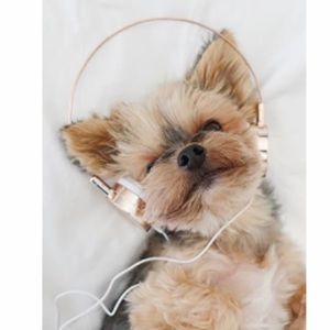 Rose colored mini headphones